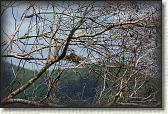 DSC00607
