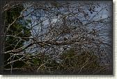 DSC00610