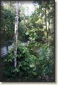 DSC00906