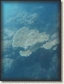 DSCN1139