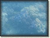 DSCN1145