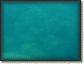 DSCN1146