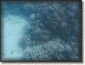 DSCN1156