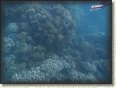 DSCN1157