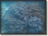 DSCN1165