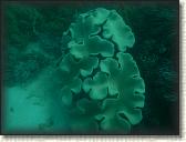 DSCN1167