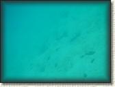 DSCN1170