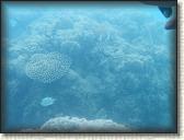 DSCN1186