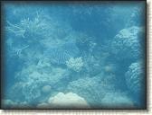 DSCN1187