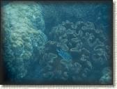 DSCN1188
