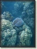 DSCN1193