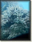 DSCN1195
