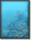 DSCN1196