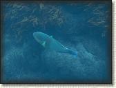 DSCN1197