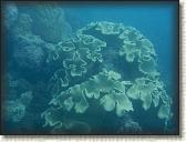 DSCN1202