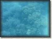 DSCN1208