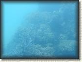DSCN1210