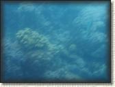 DSCN1217