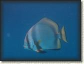 DSCN1257