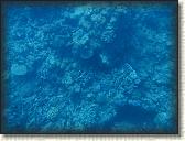 DSCN1296