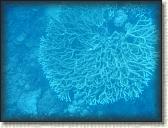 DSCN1300