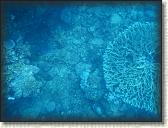 DSCN1302