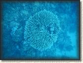 DSCN1303