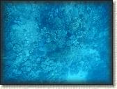 DSCN1304