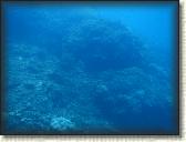 DSCN1305