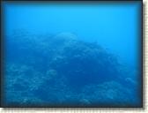 DSCN1306