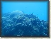DSCN1308
