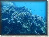 DSCN1309