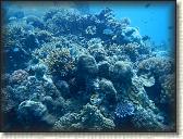 DSCN1310