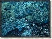 DSCN1320