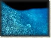 DSCN1327