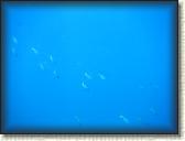 DSCN1328