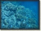 DSCN1337