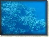 DSCN1341