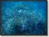 DSCN1342