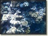 DSCN1350