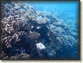 DSCN1351