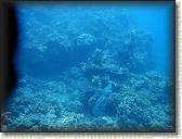 DSCN1352