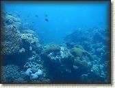 DSCN1354