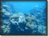 DSCN1355