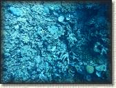 DSCN1367