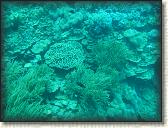 DSCN1378