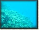 DSCN1380