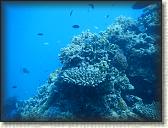 DSCN1383