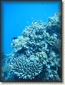 DSCN1384