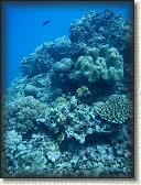 DSCN1386